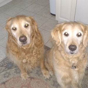 Meet your Posher, Janet